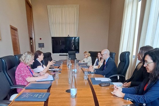 Chair of the PABiH Delegation to the Parliamentary Assembly of the Mediterranean, Rejhana Dervišević, met with members of the Delegation of the Parliament of the Republic of Italy to PAM